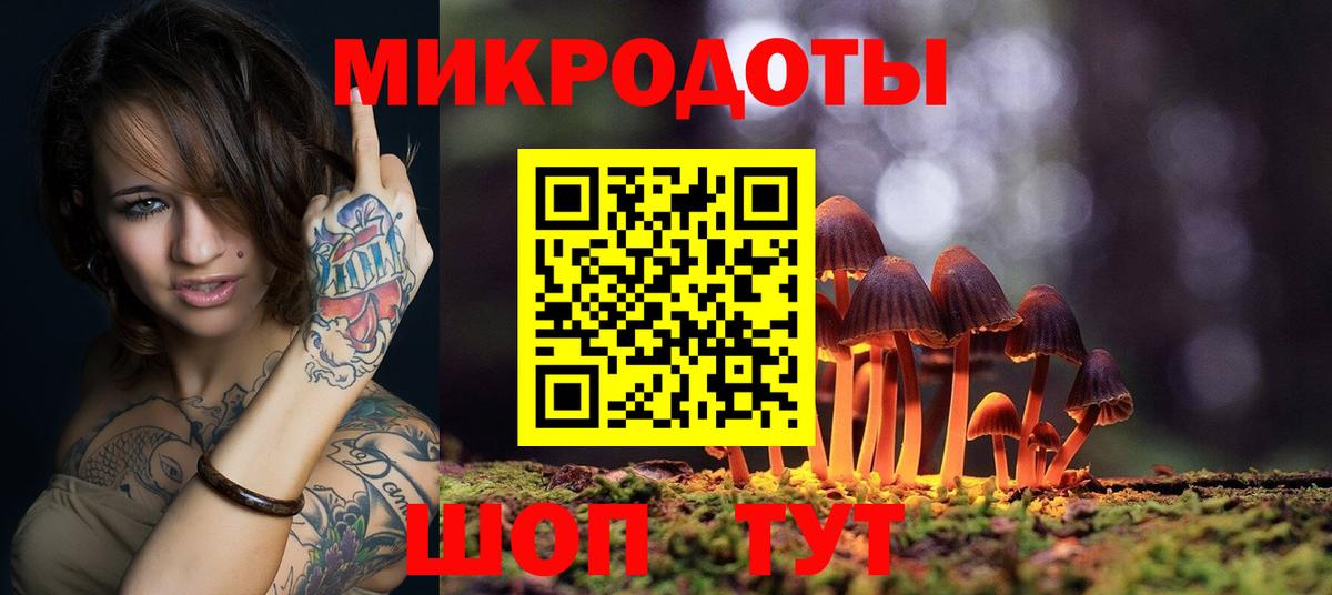 Галлюциногенные грибы Psilocybine cubensis Кызыл
