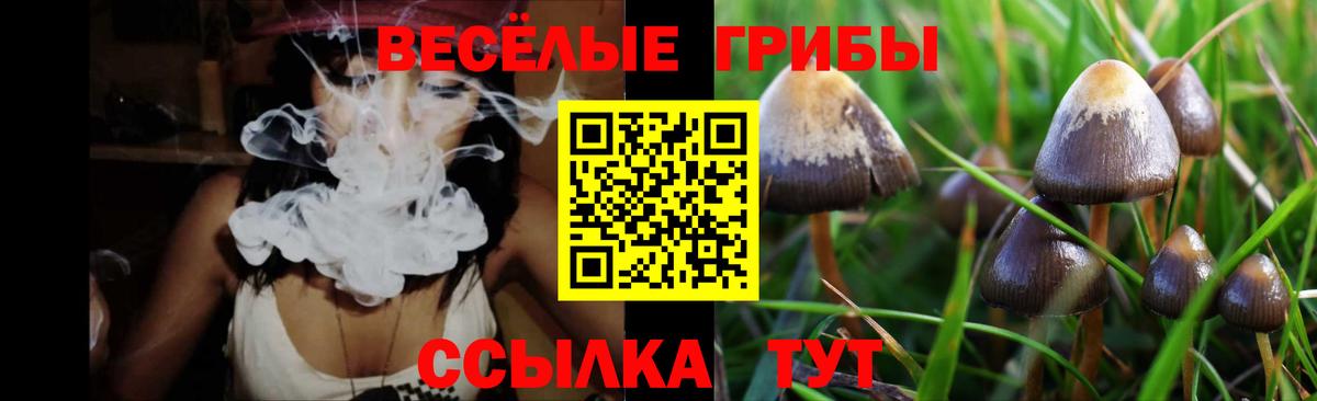 Кызыл  Псилоцибиновые грибы прущие грибы  что такое наркотик  Вход с VPN 