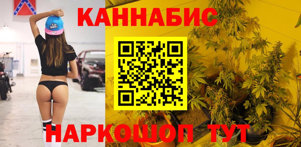 Бошки марихуана планчик  Шишки марихуана планчик  Кызыл  Вход с VPN 